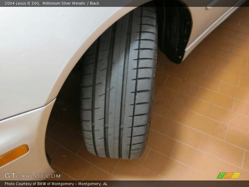 Millinnium Silver Metallic / Black 2004 Lexus IS 300