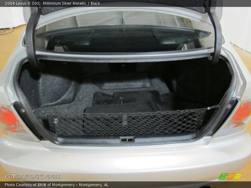 Millinnium Silver Metallic / Black 2004 Lexus IS 300