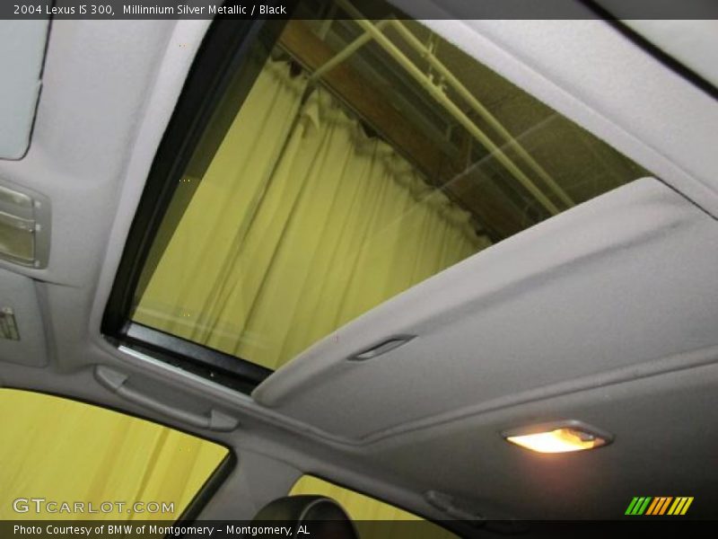Millinnium Silver Metallic / Black 2004 Lexus IS 300