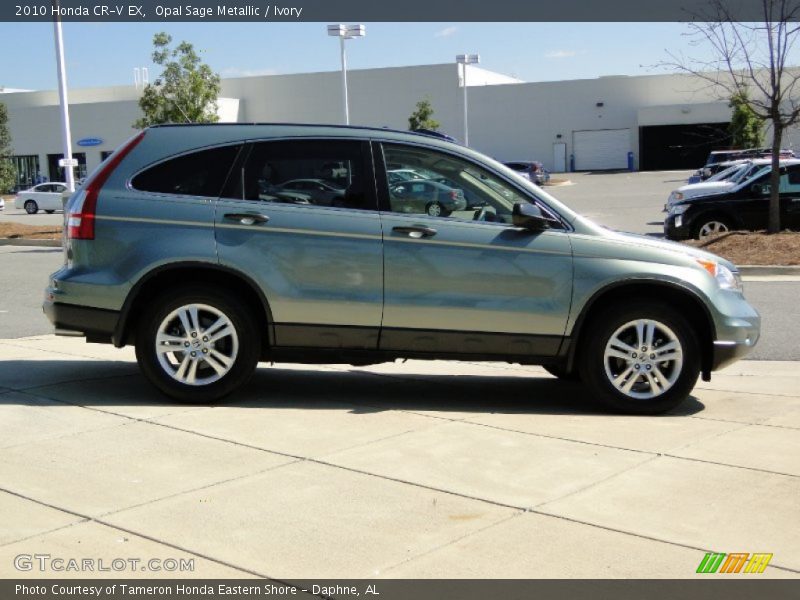 Opal Sage Metallic / Ivory 2010 Honda CR-V EX