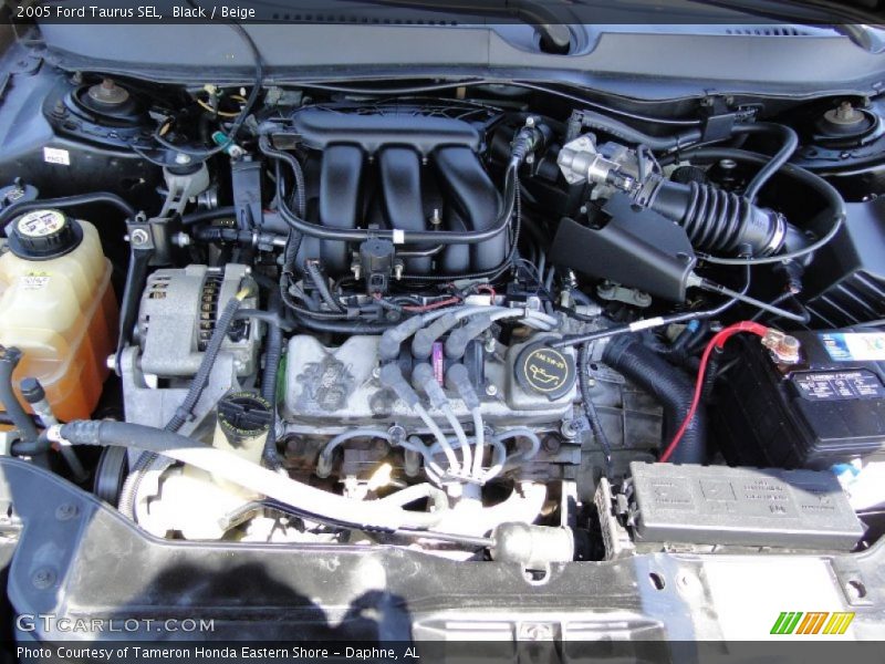 Black / Beige 2005 Ford Taurus SEL
