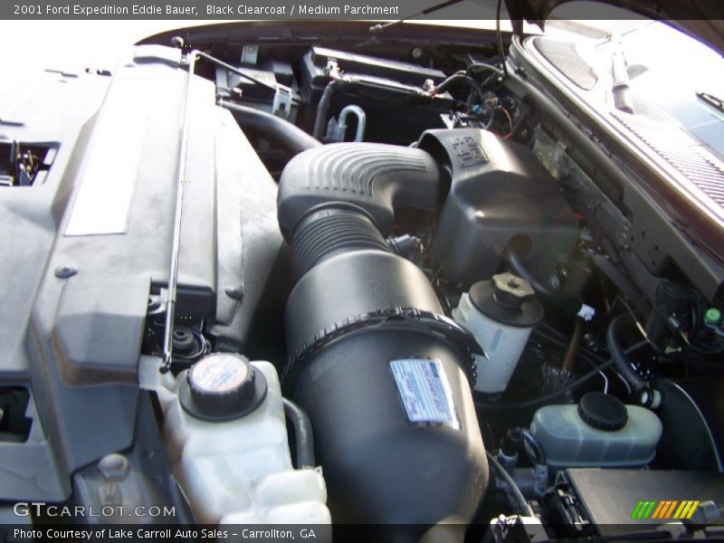 Black Clearcoat / Medium Parchment 2001 Ford Expedition Eddie Bauer