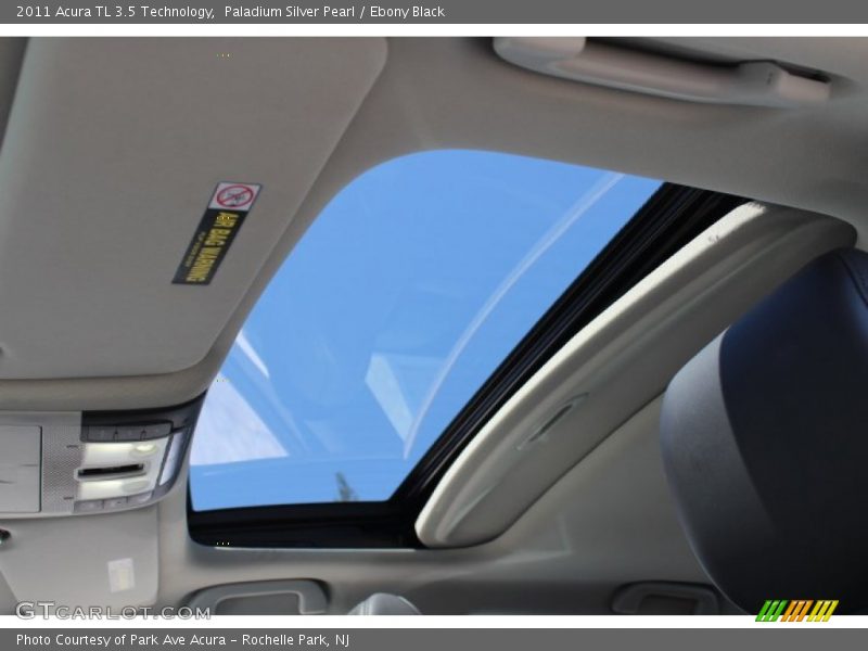 Paladium Silver Pearl / Ebony Black 2011 Acura TL 3.5 Technology