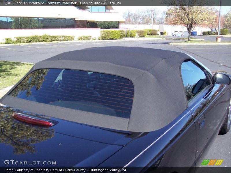 Evening Black / Black Ink 2003 Ford Thunderbird Premium Roadster