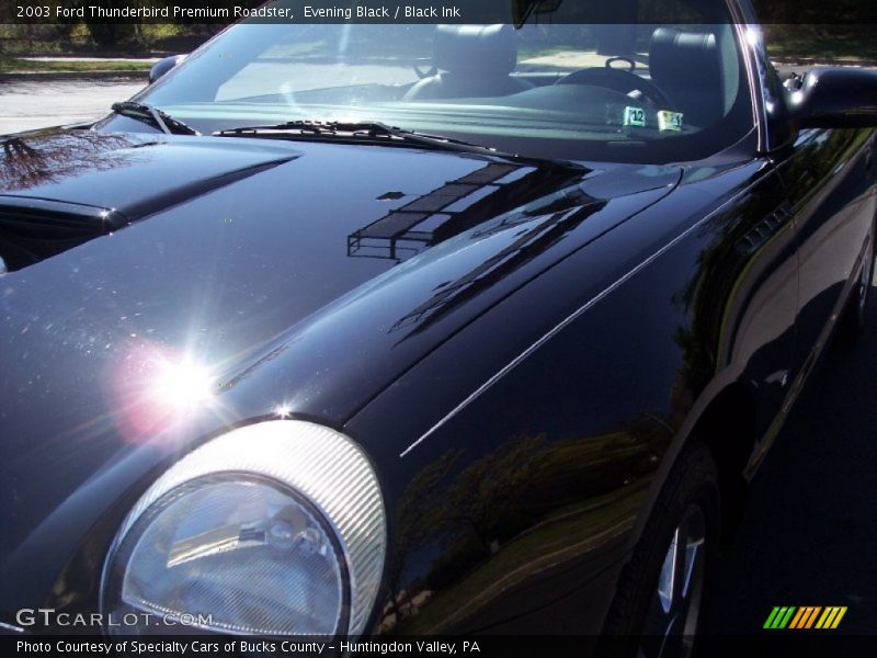 Evening Black / Black Ink 2003 Ford Thunderbird Premium Roadster