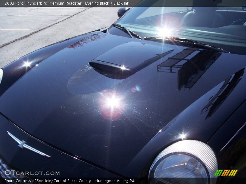 Evening Black / Black Ink 2003 Ford Thunderbird Premium Roadster