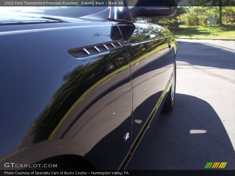 Evening Black / Black Ink 2003 Ford Thunderbird Premium Roadster