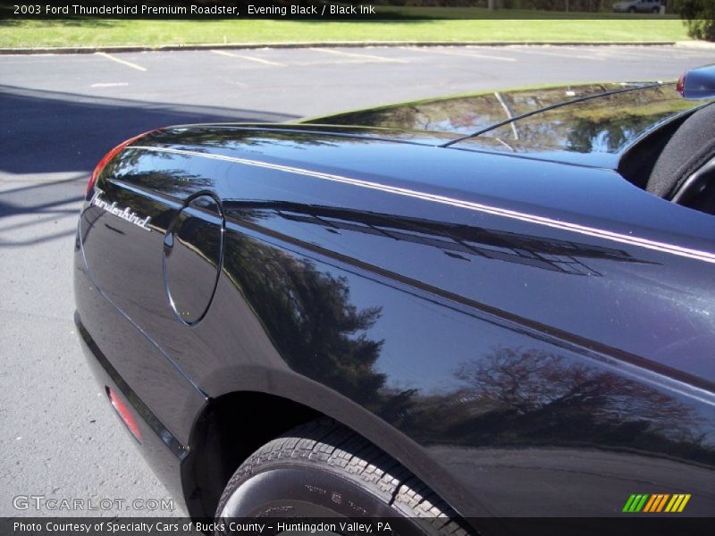 Evening Black / Black Ink 2003 Ford Thunderbird Premium Roadster