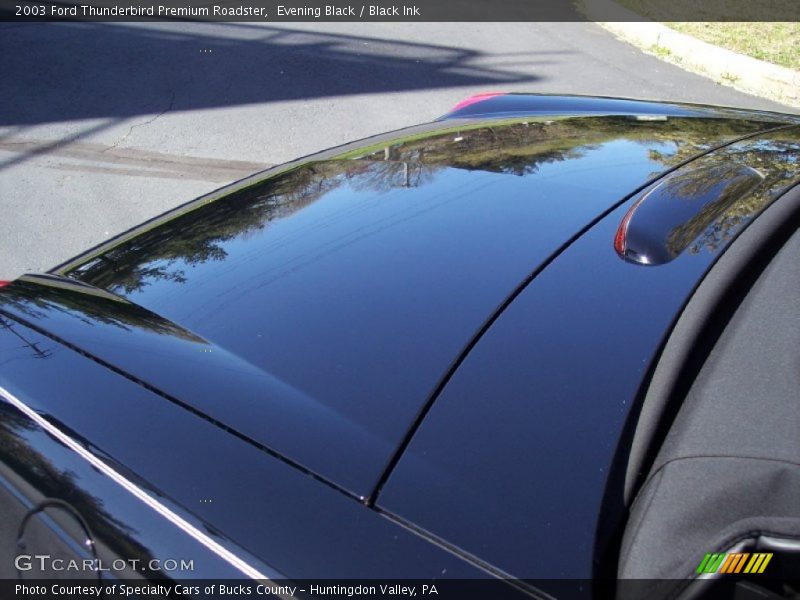 Evening Black / Black Ink 2003 Ford Thunderbird Premium Roadster
