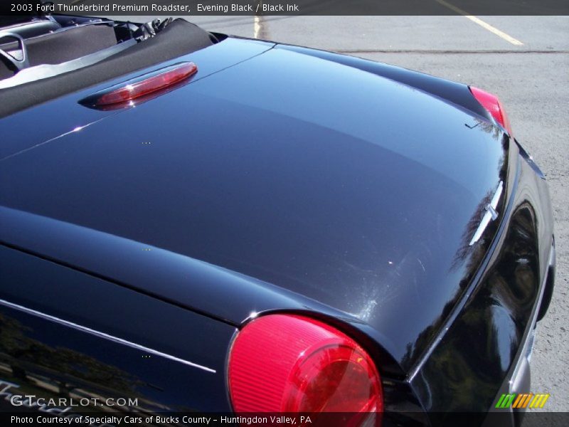 Evening Black / Black Ink 2003 Ford Thunderbird Premium Roadster