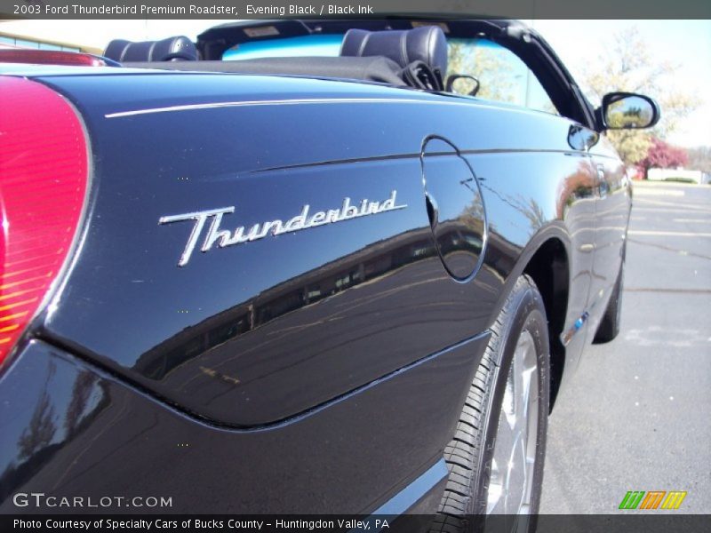 Evening Black / Black Ink 2003 Ford Thunderbird Premium Roadster