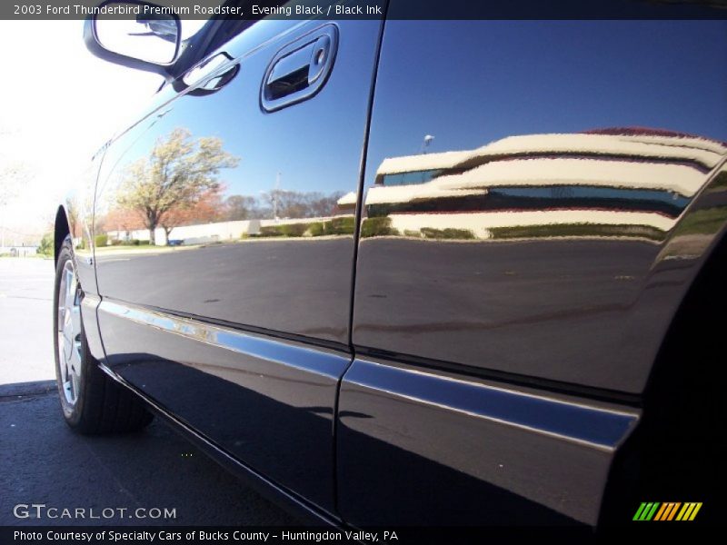 Evening Black / Black Ink 2003 Ford Thunderbird Premium Roadster