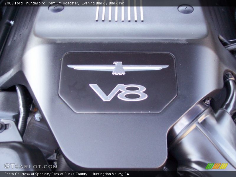 Evening Black / Black Ink 2003 Ford Thunderbird Premium Roadster