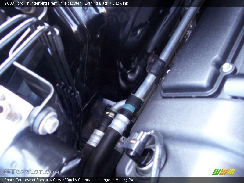 Evening Black / Black Ink 2003 Ford Thunderbird Premium Roadster