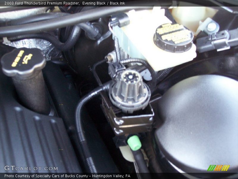 Evening Black / Black Ink 2003 Ford Thunderbird Premium Roadster