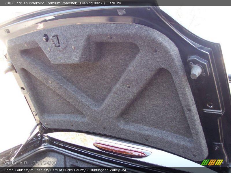Evening Black / Black Ink 2003 Ford Thunderbird Premium Roadster