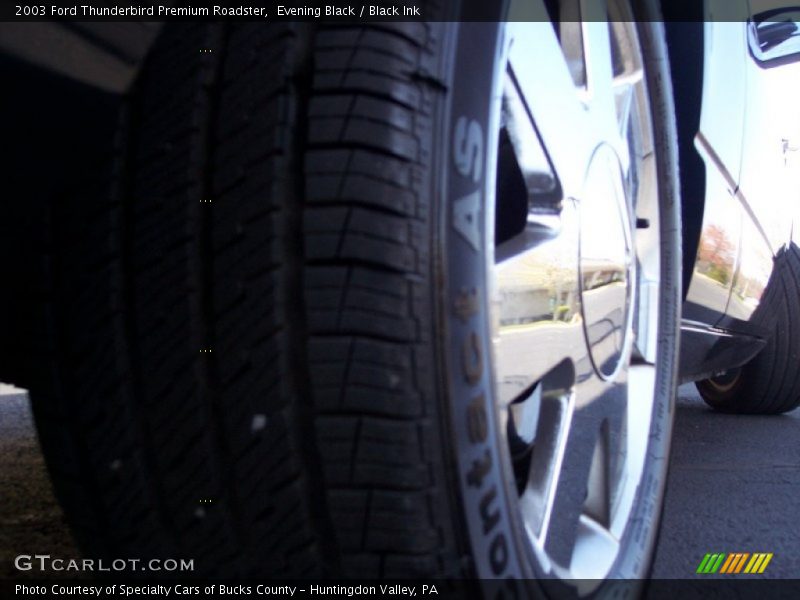 Evening Black / Black Ink 2003 Ford Thunderbird Premium Roadster