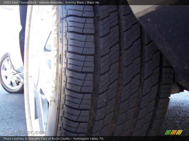 Evening Black / Black Ink 2003 Ford Thunderbird Premium Roadster