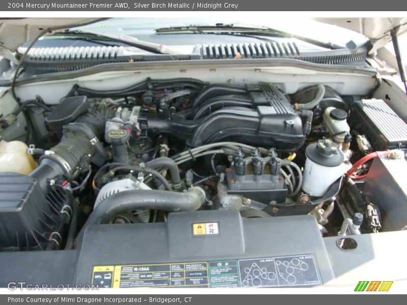 Silver Birch Metallic / Midnight Grey 2004 Mercury Mountaineer Premier AWD