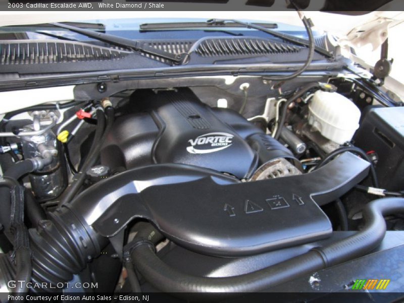 White Diamond / Shale 2003 Cadillac Escalade AWD