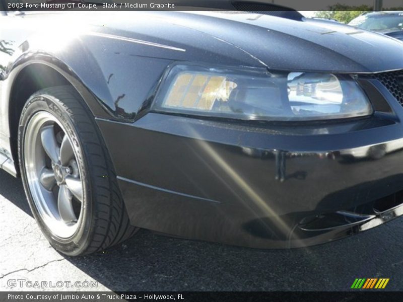 Black / Medium Graphite 2003 Ford Mustang GT Coupe