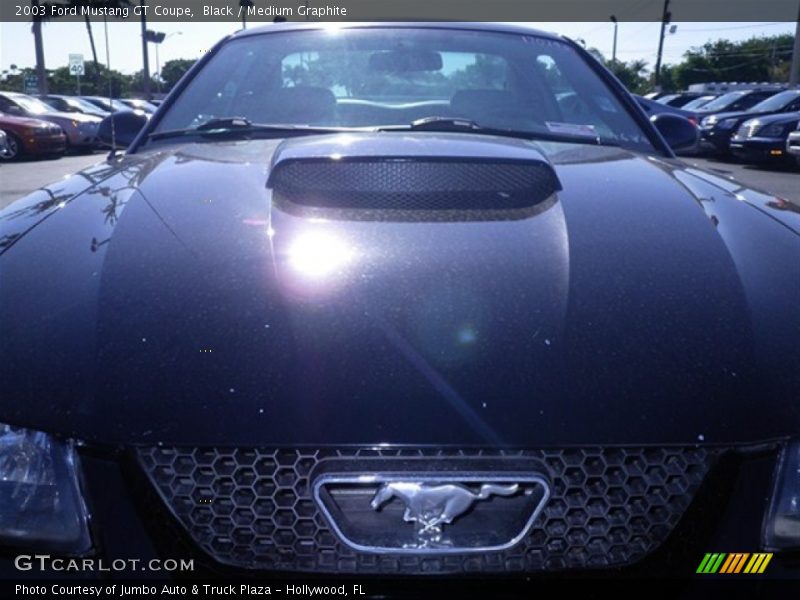 Black / Medium Graphite 2003 Ford Mustang GT Coupe