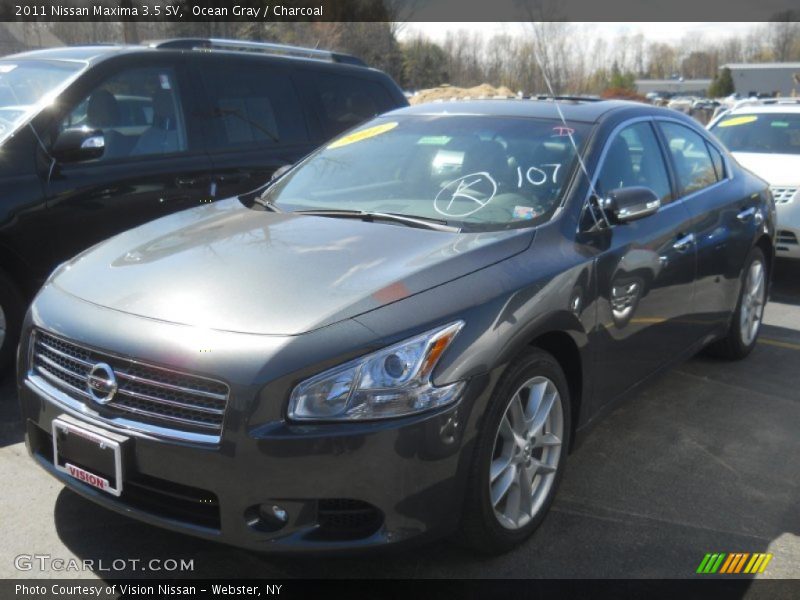 Ocean Gray / Charcoal 2011 Nissan Maxima 3.5 SV