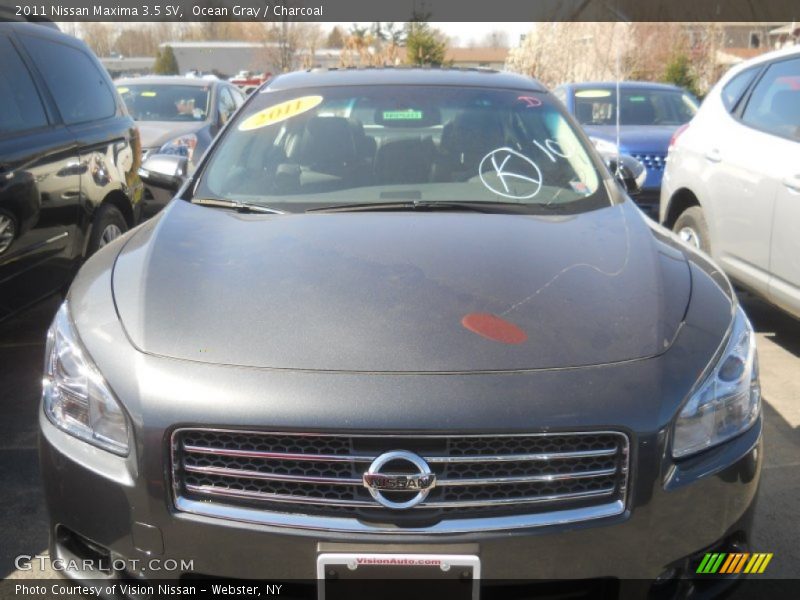 Ocean Gray / Charcoal 2011 Nissan Maxima 3.5 SV