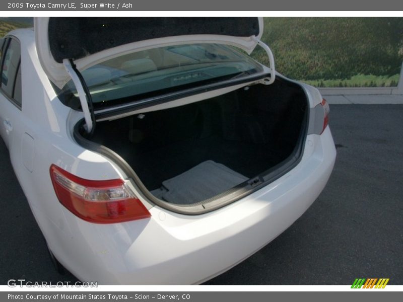 Super White / Ash 2009 Toyota Camry LE