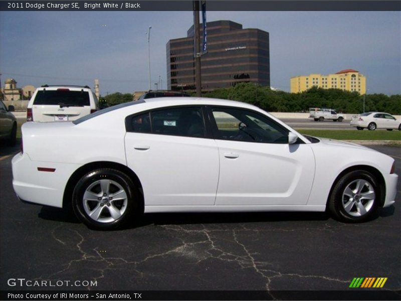 Bright White / Black 2011 Dodge Charger SE