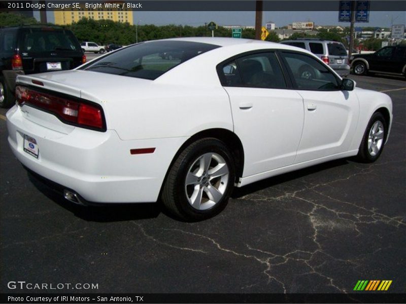 Bright White / Black 2011 Dodge Charger SE