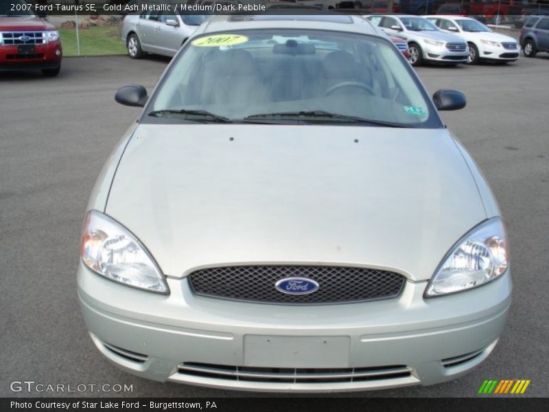 Gold Ash Metallic / Medium/Dark Pebble 2007 Ford Taurus SE