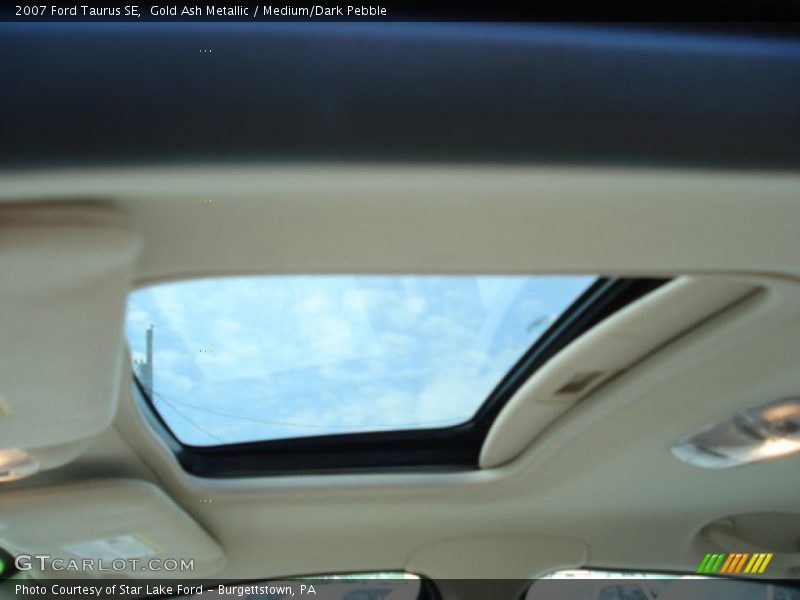Gold Ash Metallic / Medium/Dark Pebble 2007 Ford Taurus SE