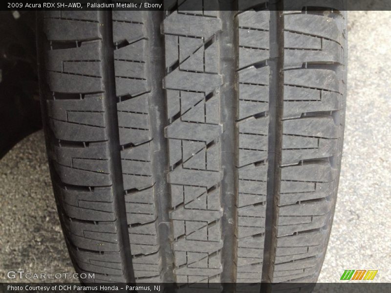 Palladium Metallic / Ebony 2009 Acura RDX SH-AWD