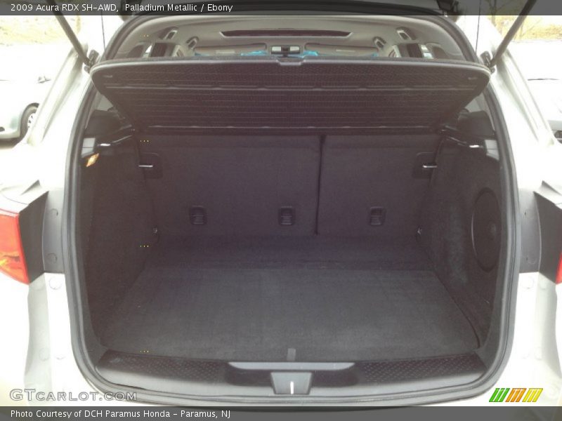 Palladium Metallic / Ebony 2009 Acura RDX SH-AWD