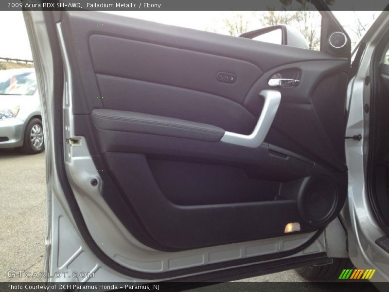 Palladium Metallic / Ebony 2009 Acura RDX SH-AWD