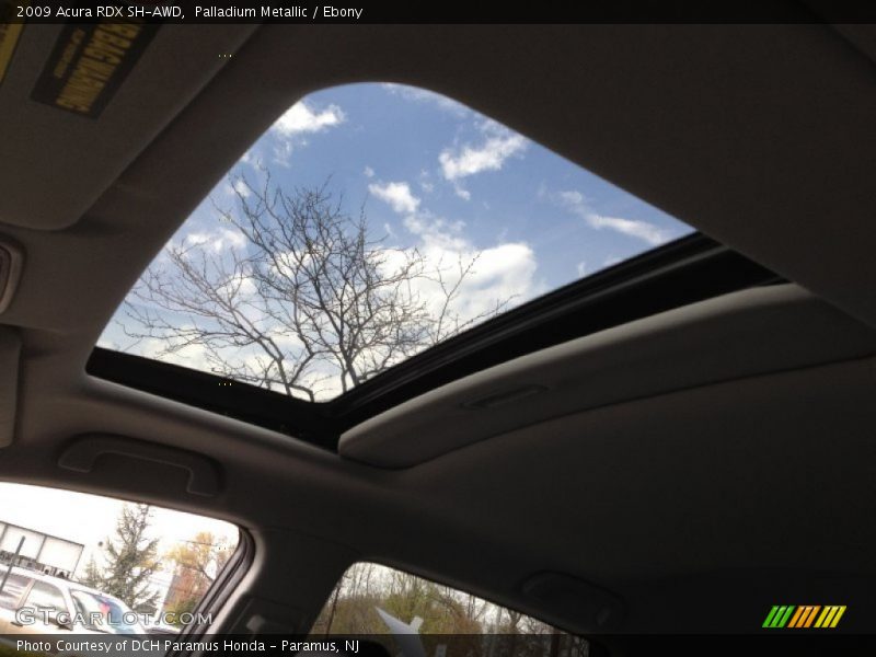 Palladium Metallic / Ebony 2009 Acura RDX SH-AWD