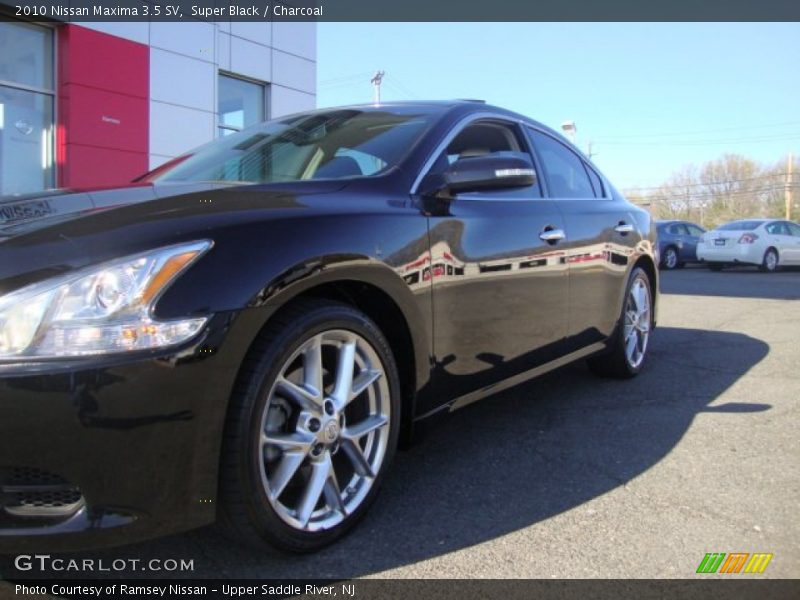 Super Black / Charcoal 2010 Nissan Maxima 3.5 SV