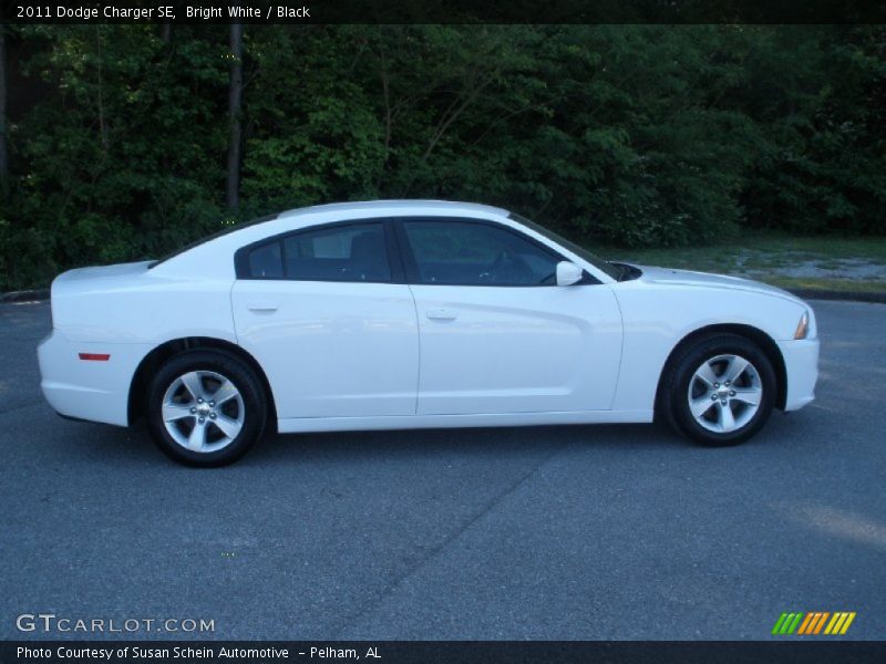 Bright White / Black 2011 Dodge Charger SE