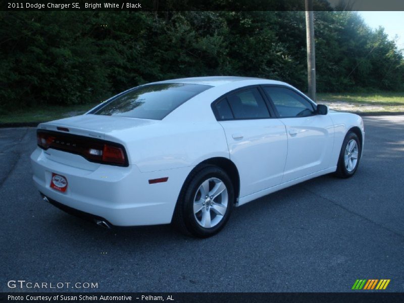 Bright White / Black 2011 Dodge Charger SE