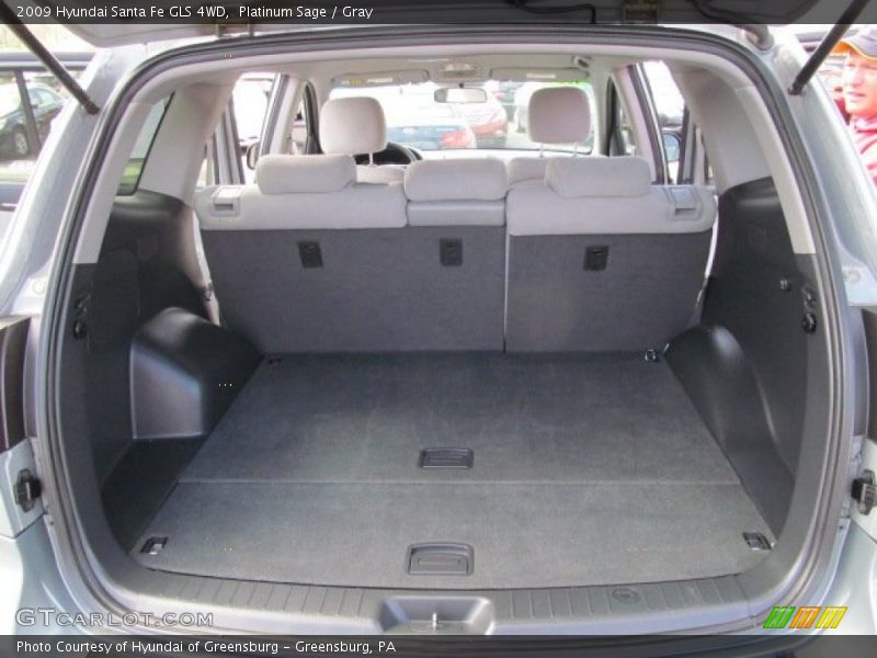 Platinum Sage / Gray 2009 Hyundai Santa Fe GLS 4WD
