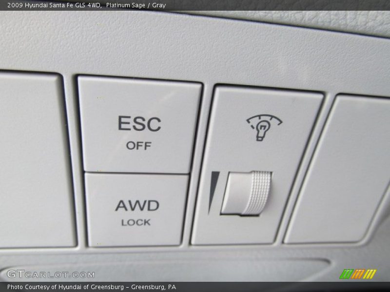 Platinum Sage / Gray 2009 Hyundai Santa Fe GLS 4WD