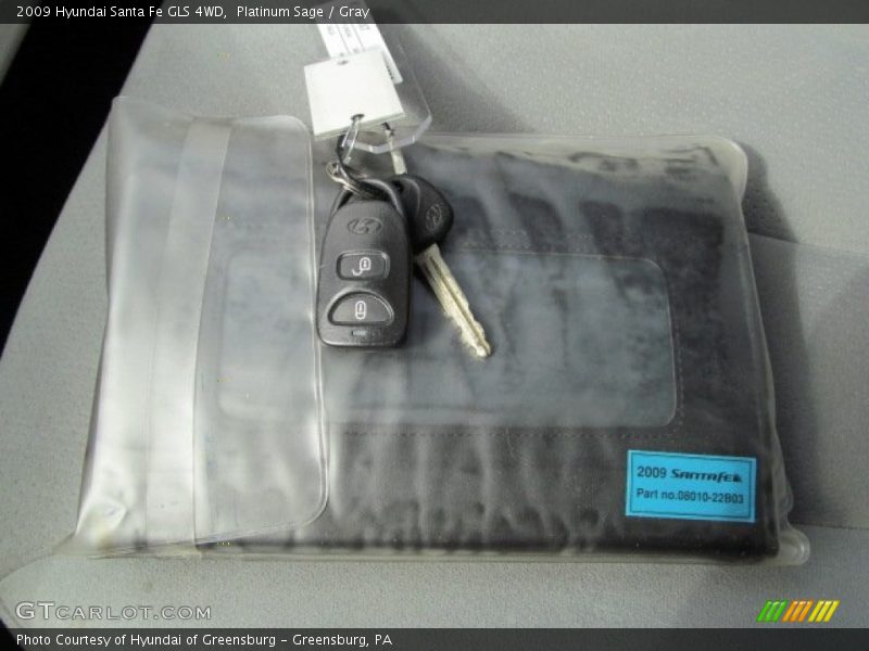 Platinum Sage / Gray 2009 Hyundai Santa Fe GLS 4WD