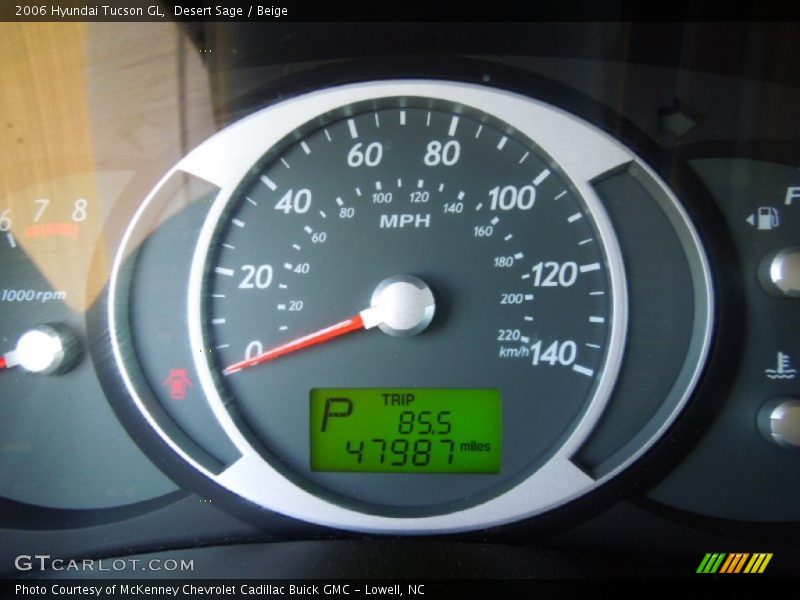 Desert Sage / Beige 2006 Hyundai Tucson GL