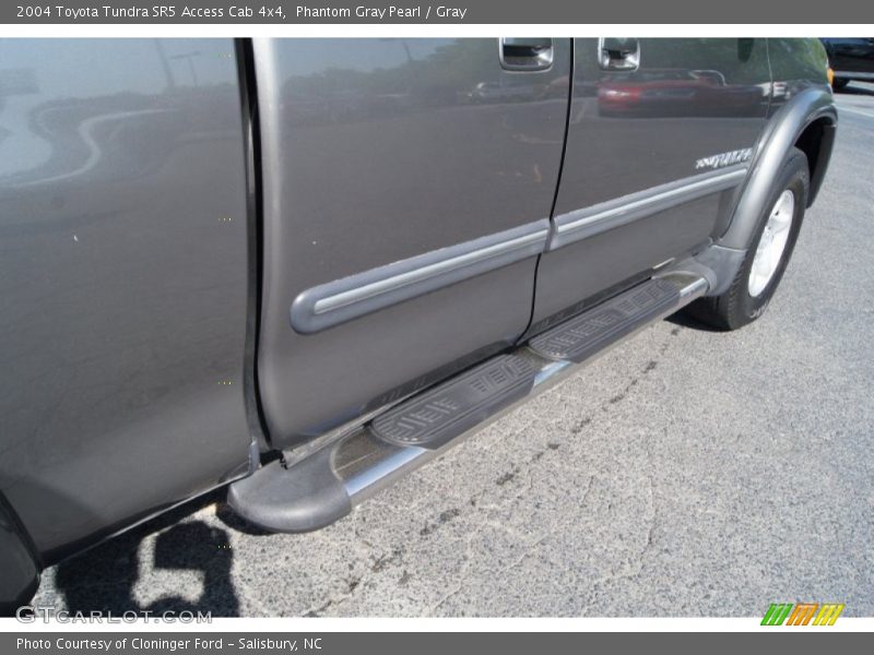 Phantom Gray Pearl / Gray 2004 Toyota Tundra SR5 Access Cab 4x4