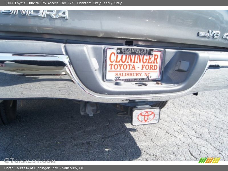 Phantom Gray Pearl / Gray 2004 Toyota Tundra SR5 Access Cab 4x4