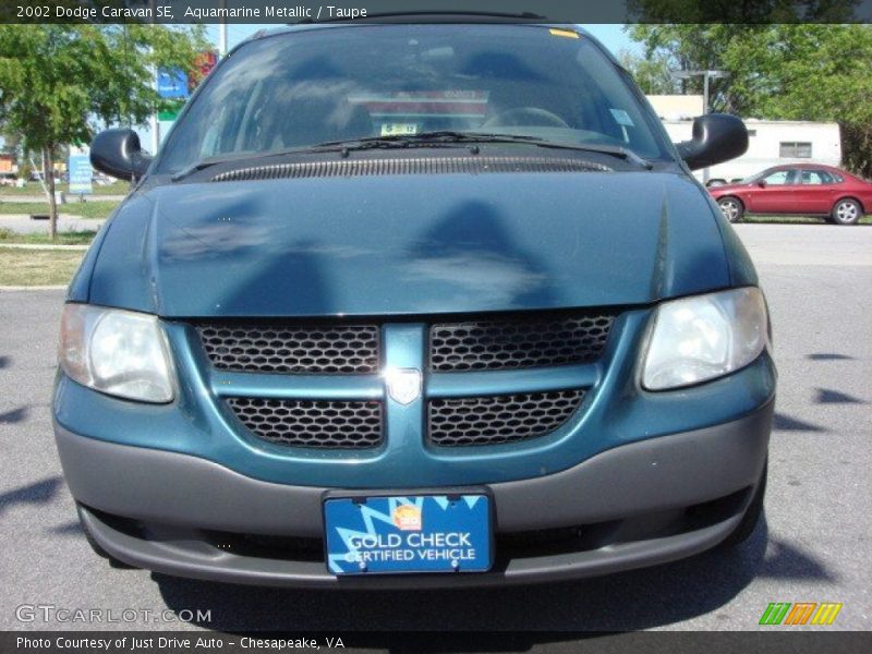 Aquamarine Metallic / Taupe 2002 Dodge Caravan SE