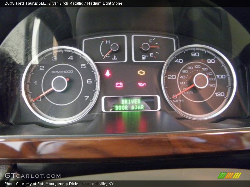 Silver Birch Metallic / Medium Light Stone 2008 Ford Taurus SEL