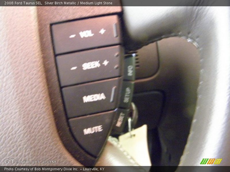 Silver Birch Metallic / Medium Light Stone 2008 Ford Taurus SEL