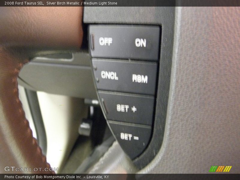 Silver Birch Metallic / Medium Light Stone 2008 Ford Taurus SEL